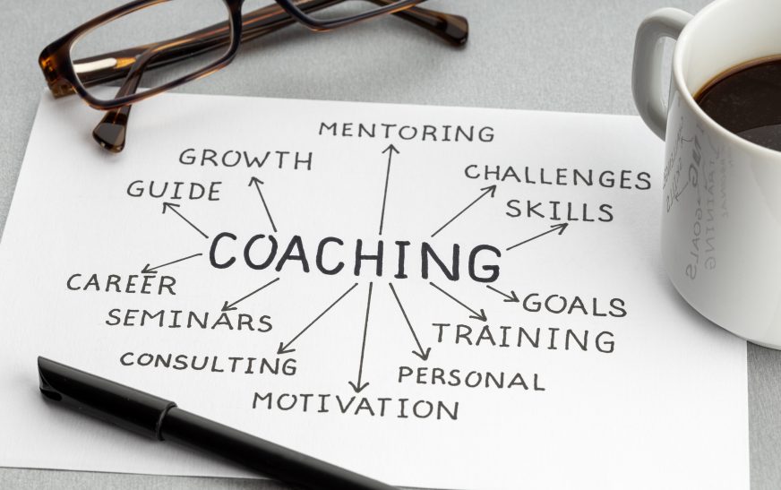 Why CEOs Need Personal Coaching Programs
